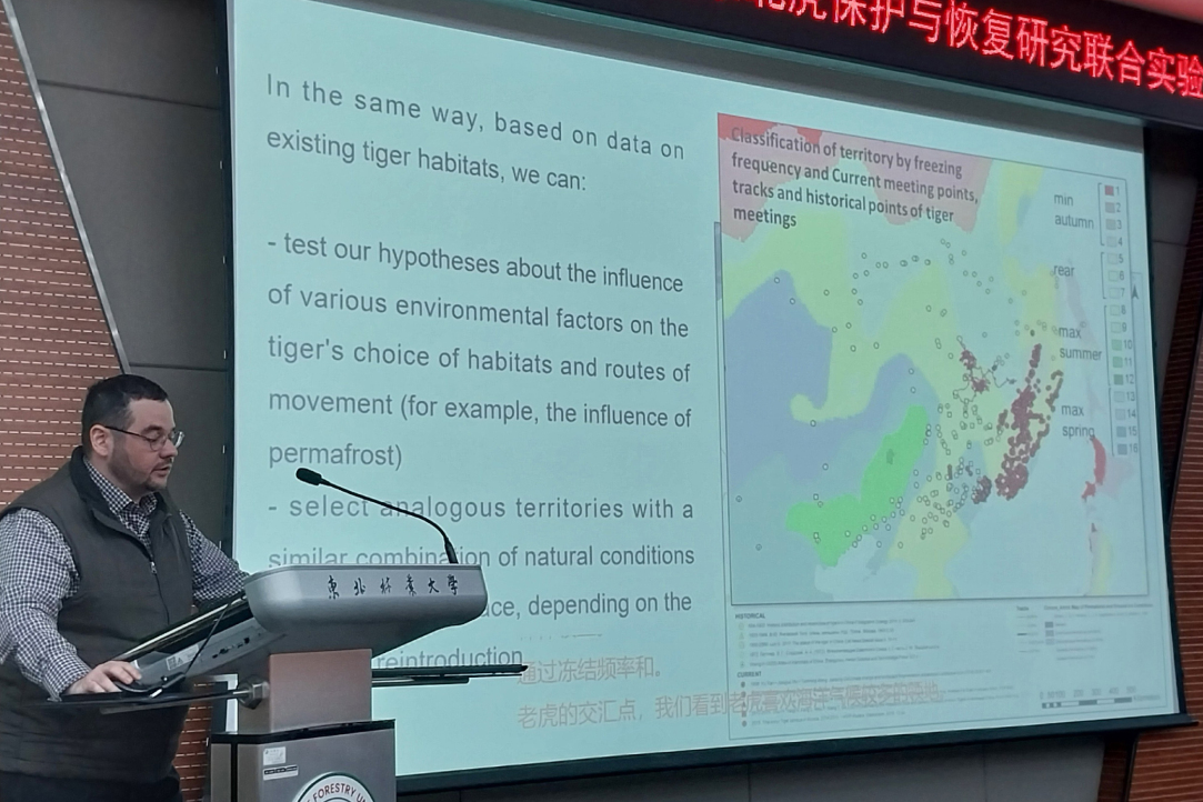 Иллюстрация к новости: В Харбине прошел российско-китайский семинар по сохранению амурского тигра и леопарда