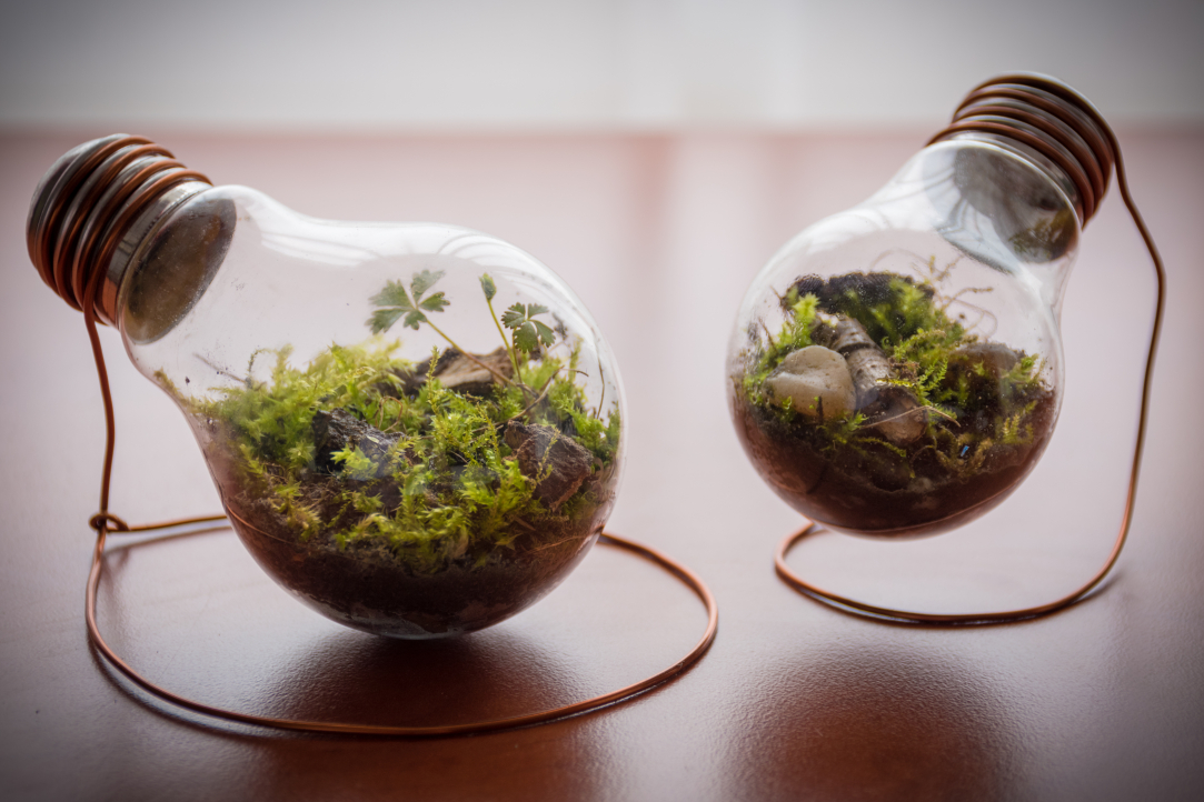 Что нового в природно-климатических проектах? Дайджест за октябрь 2025 г.